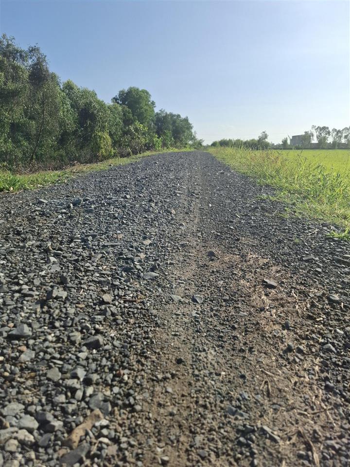 Bán đất tại xã bình thành, đức huệ, long an, 3,7 tỷ, 22.000 m2 chính chủ hot!