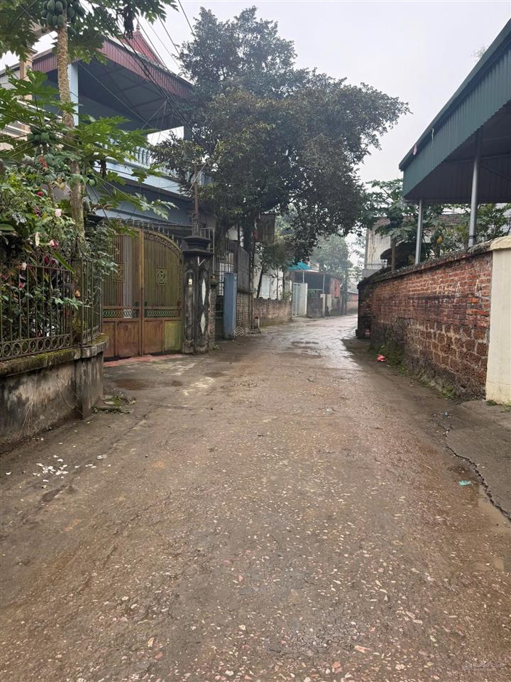 Chính chủ cần tiền bán mảnh đất tích giang diện tích 48m cách trục chính 10m