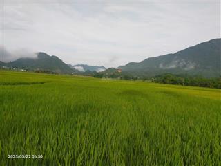 Bán đất nền dự án la valley, đt 433, đà bắc, hòa bình, diện tích 104m2, hot!