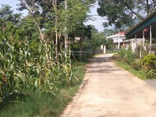 Bán đất nền 2500m2 tại tú lý, đà bắc, hòa bình, giá ưu đãi 650 nghìn / m2