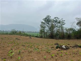 Bán đất thổ cư view sông giá rẻ tại xã ba vì, thành phố hà nội.
