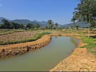 Bán lô đất thô cư nghỉ dưỡng view cánh đồng tuyệt đẹp.