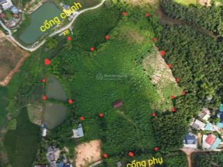Bán lô đất nghỉ dưỡng siêu đẹp quỹ đất lớn 18.000m² hương cần