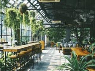 Cho thuê mặt phố quang trung 30/40m2 5 tầng căn góc mặt tiền 10m cực hiếm