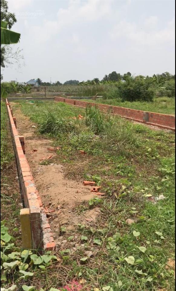 Đất ở tại nông thôn, 2 tỷ 350, chính chủ. long hiệp, bến lức, long an