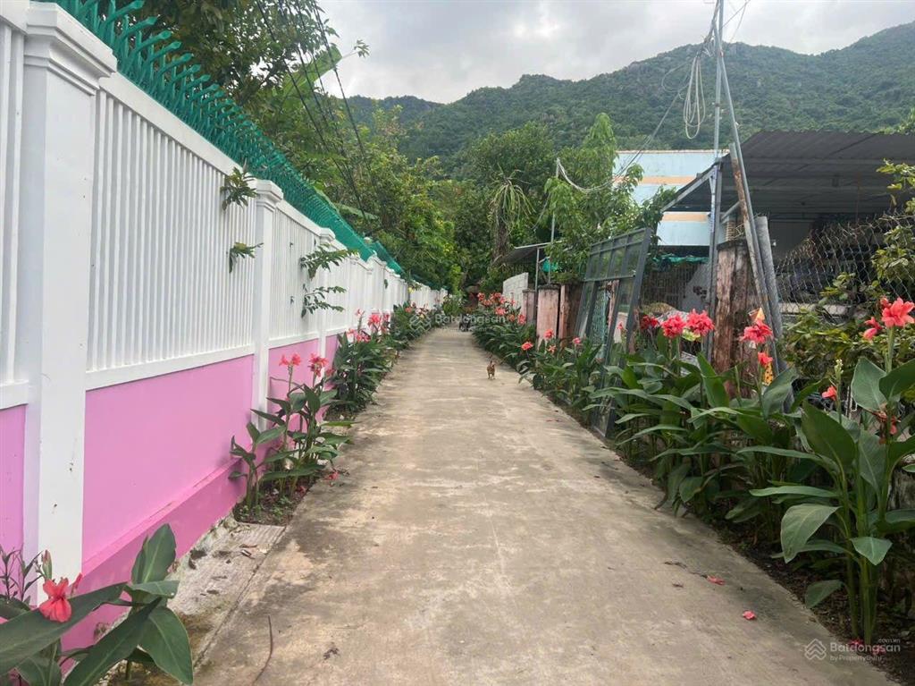 Bán nhà trung tâm phước đồng nha trang dt 200m2 nhà cấp 4 chỉ 2,3 tỉ