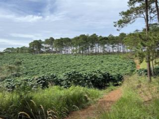 Chỉ 3.5 tỷ sở hữu ngay 6200m2 đất với 140m mt đường giáp thông, cách tl725 800m sh   0903 065 ***