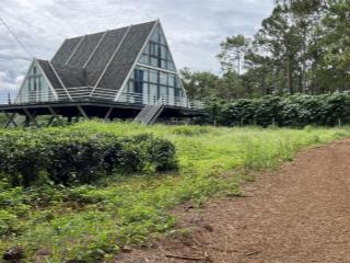 Vườn đẹp 6.300m2 sẵn nhà đẹp cách tl725 chỉ 750m đối diện khu nghĩ dưỡng chopicana2   0903 065 ***