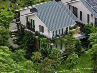 Ecopark ra mắt retreat forest  biệt thự rừng độc bản giá từ 14,4 tỷ | quà tặng 300 triệu