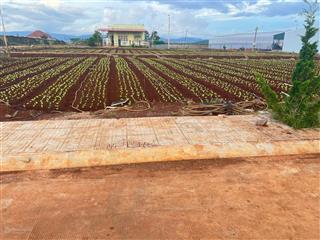 Chính chủ cần bán lô đất đẹp tại suối thông b, xã đơn dương, lâm đồng,  0843 770 *** vân