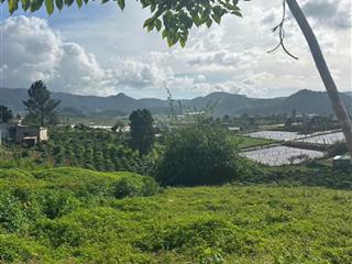 Chỉ với 390tr bạn đã sở hữu lô đất ngay trung tâm xã xã pró, quảng lập (mới) lâm đồng giá 390tr