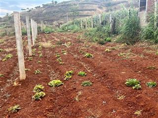 Bán đất thế dương đạ ròn (đơn dương mới)  216m²  gần ql27  giá 750 triệu