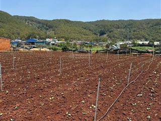 Bán gấp đất thổ cư đơn dương gần quốc lộ  138m²  giá 699 triệu