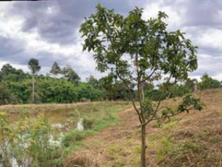 Bán gấp đất view đỉnh, giáp suối đường ô tô, thế đất đẹp nghỉ dưỡng