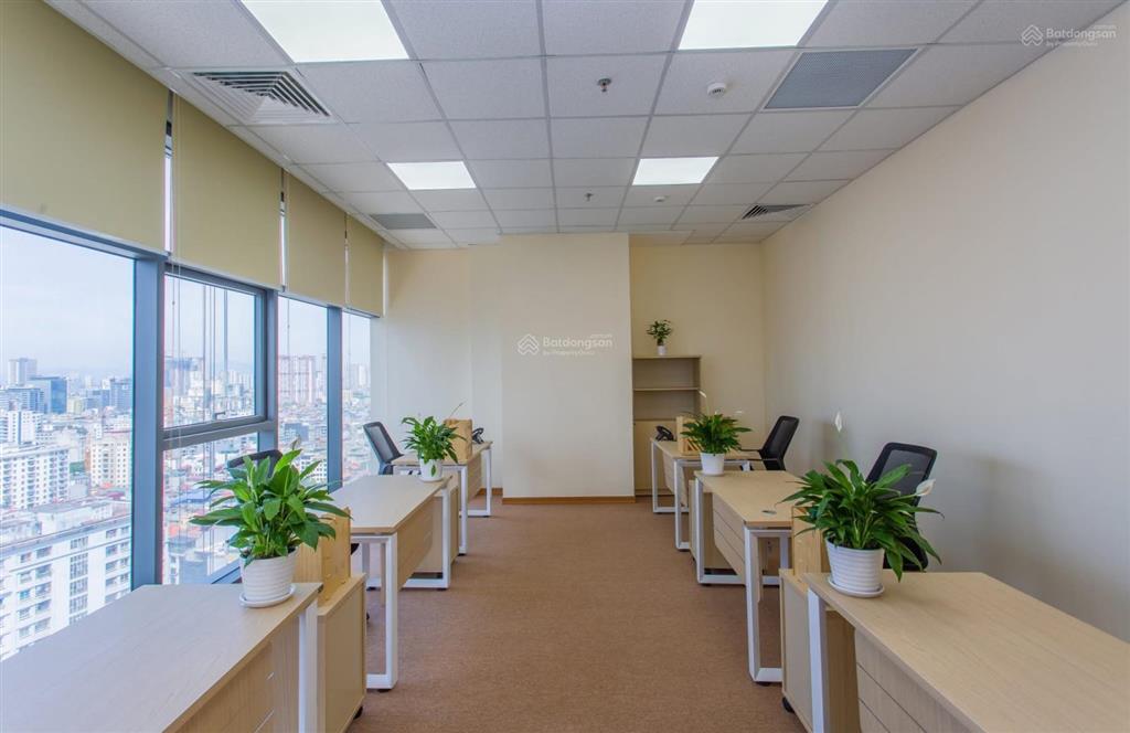 Cho thuê văn phòng cầu giấy, văn phòng diện tích nhỏ từ 32m2 tòa 302 discovery complex, có sẵn