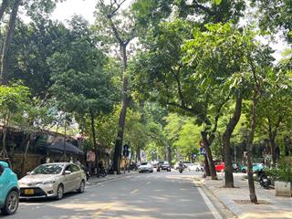 Bán nhà mặt phố lê quý đôn, phố cổ hai bà  401m2 mt 15m  1 sổ 1 chủ, đc xây cao tầng, tặng gpxd