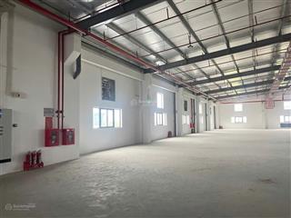 Xưởng cho thuê kcn hải sơn, long an 11.500m², tải trọng 3t/m², giá tốt 99.389đ/m²