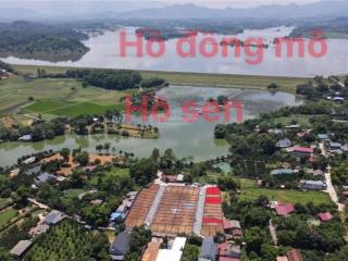 Giá rẻ nhất khu vực 60,2m2 đường thông gần sân đồng mô kim sơn giá 1.4 tỷ