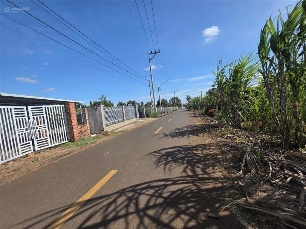 Bán đất lê thị hồng gấm, 7 tỷ, 1000m, bà rịa vũng tàu