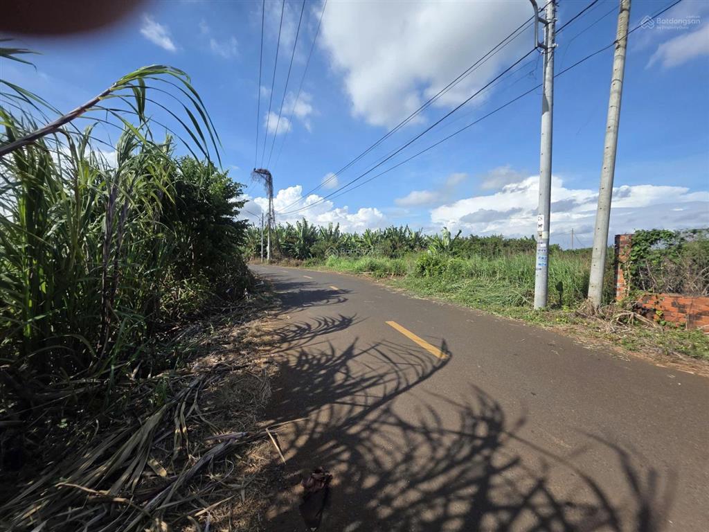 Bán đất lê thị hồng gấm, 7 tỷ, 1000m, bà rịa vũng tàu