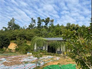 Chính chủ. bán nhà riêng & đất tại an lạc, chí linh, hải dương, 1,5 triệu/m2, 1000 m2