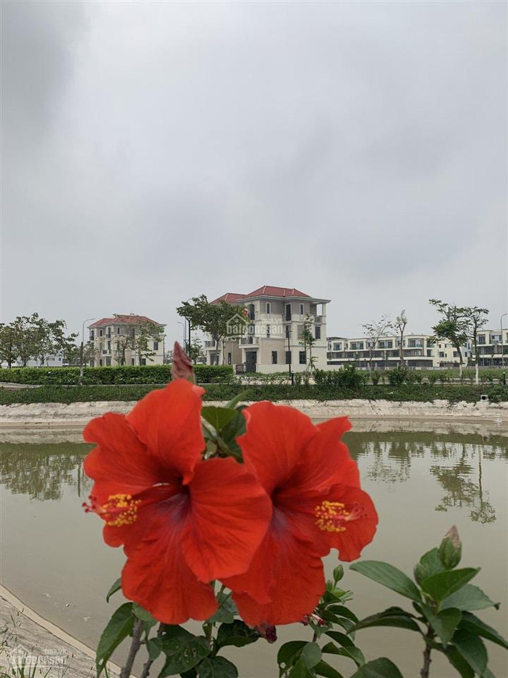 Biệt thự song lập văn minh 135m2 centa vsip từ sơn 8,8 tỷ 0966 228 ***