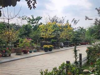 Bán biệt thự vườn diện tích 4000 m2 giá 65 tỷ, gần khu đông tăng long, quận 9, tp thủ đức