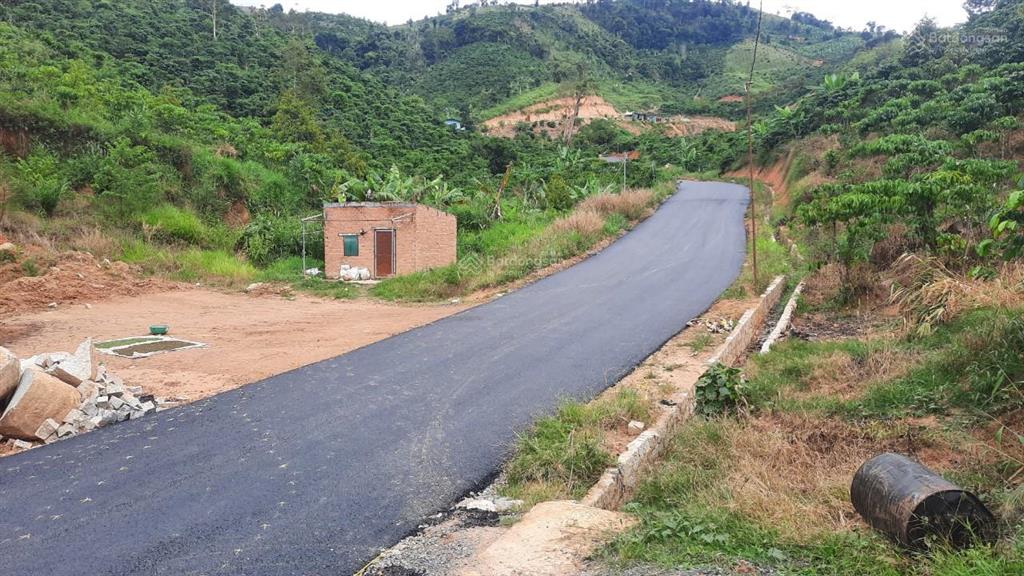 Bán 14000m2 đất trồng cây lâu năm thôn 9 xã lộc nam, bảo lâm, lâm đồng