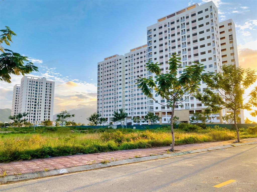 Lô cặp hà quang 1 nha trang ngang 16m cực kì hiếm