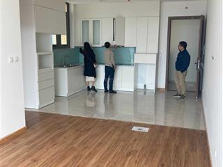 Cho thuê quỹ căn hộ chung cư brg diamond park plaza 16 láng hạ.  0387 847 ***