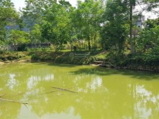 Chính chủ bán lô đất rất đẹp 2.000m², có 500m² thổ cư, mặt tiền 70m đường nhựa ôtô tại xã thanh sơn