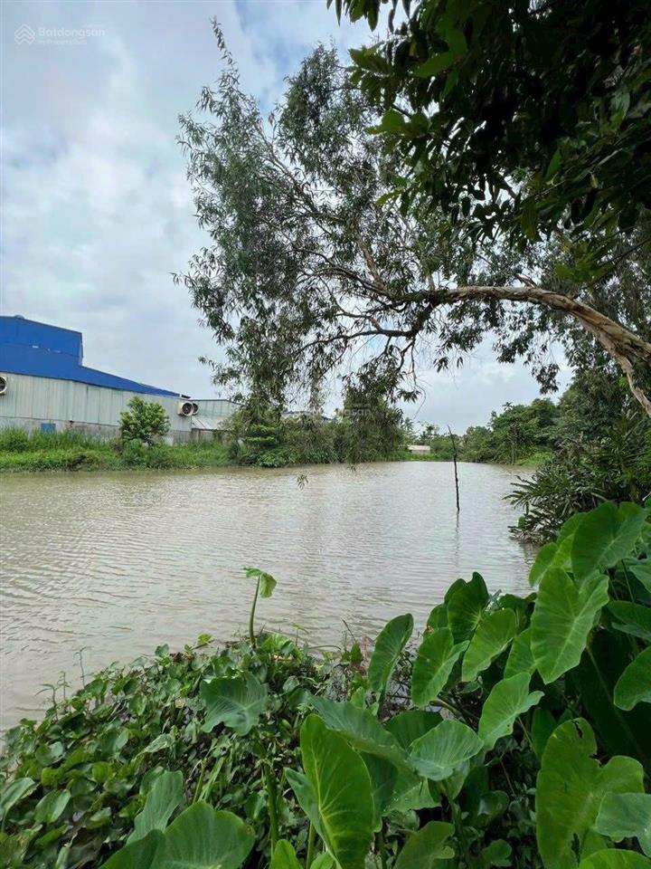 Bán đất mặt tiền sông vàm thuật đường hà huy giáp. dt 18m x 54m, thổ 999m2 đường 8m giá 26 tỷ