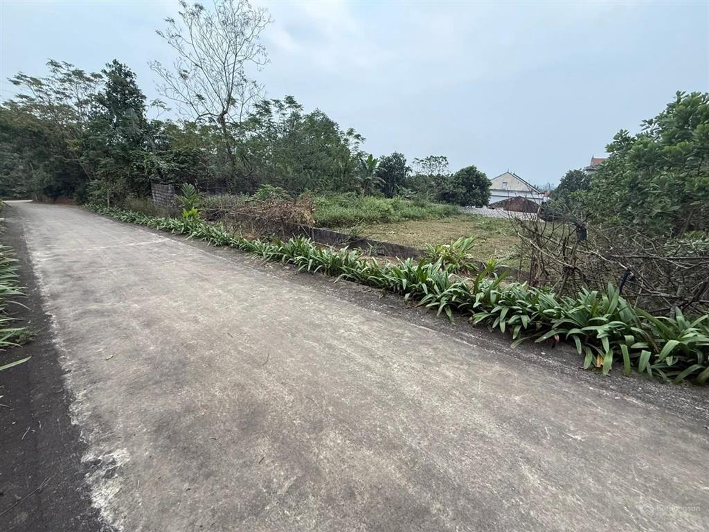 Bán đất triệu sơn, gần ngay ủy ban trường học, gần cụm công nghiệp. diện tích 160 m2 đất ở 100%.