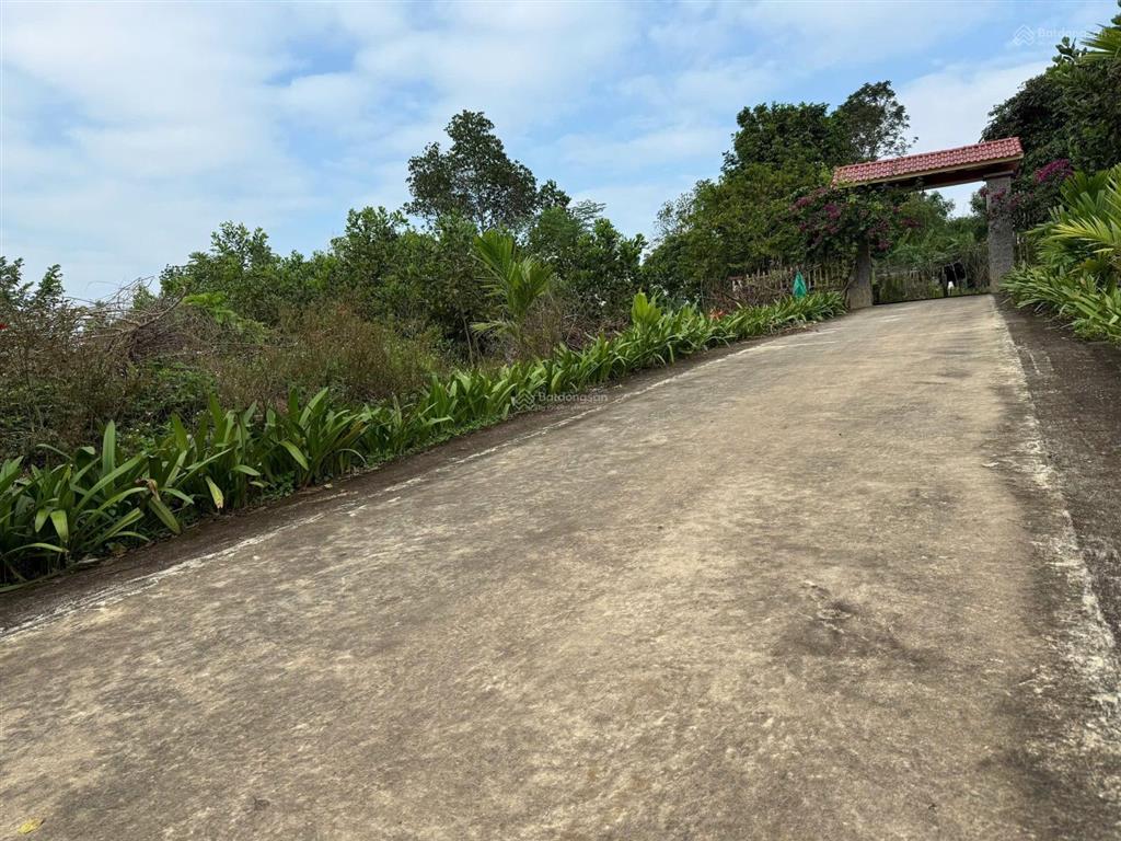 Bán đất triệu sơn, gần ngay ủy ban trường học, gần cụm công nghiệp. diện tích 160 m2 đất ở 100%.