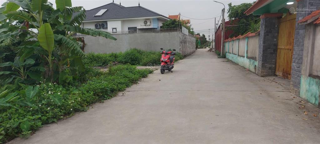 50m2 ngõ 4m gần ubnd phương hòa nghĩa dương kinh gần ngay vinhomes.