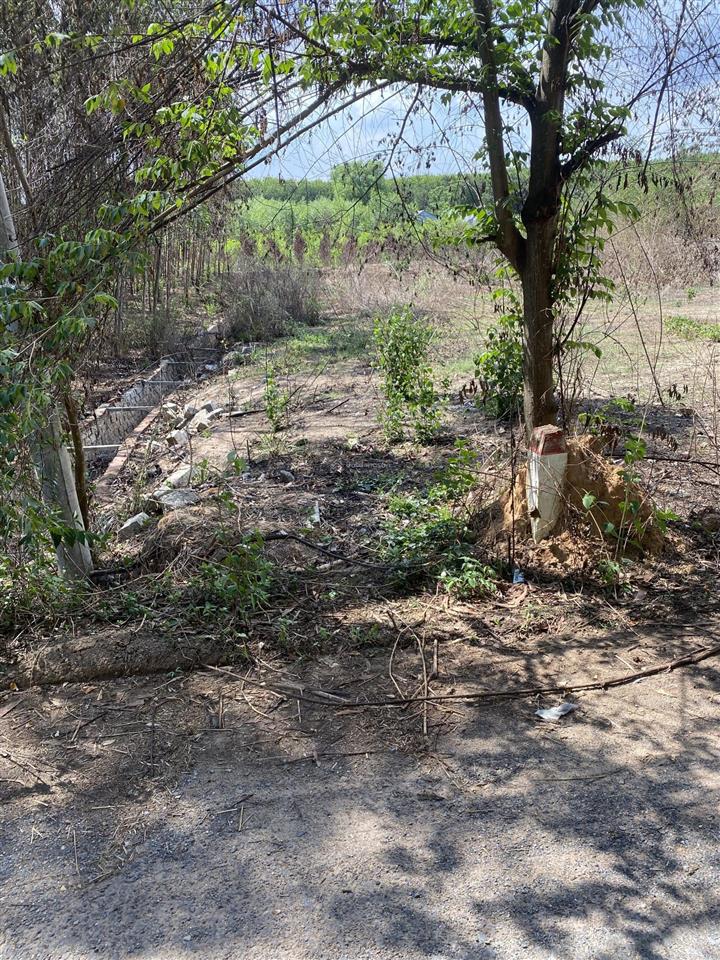 Bán đất sào giá rẻ sát sân bay long thành