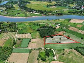 Bán đất 3600m2 tại đường 601, hòa bắc, hòa vang, đà nẵng, giá ưu đãi 5,2 tỷ