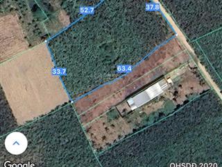 Bans nhanh lô đất trồng cây lâu năm đường 601, hòa bắc, hòa vang, đà nẵng, 1,1 tỷ, 2100 m2