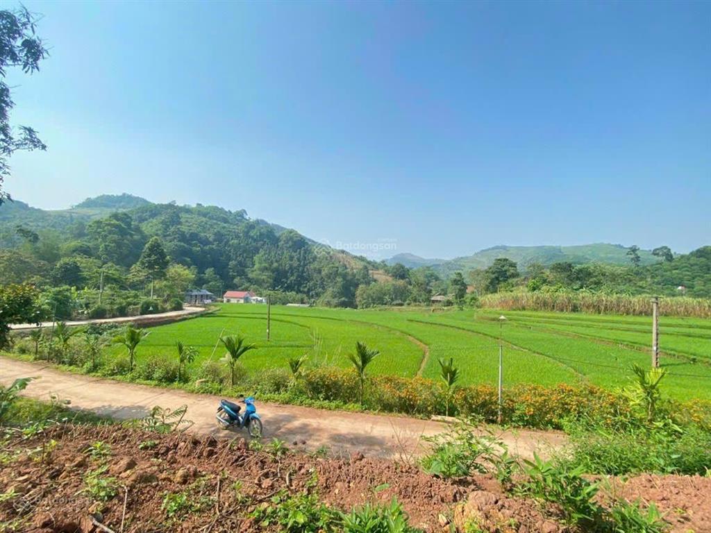 Bán đất xã cao phong giá dưới 1tr/m2