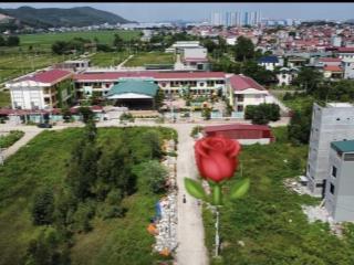 Mình bán lô đất dịch vụ nội hoàng  phường tiền phong  tỉnh bắc ninh