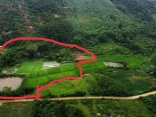 Lô đất làm trang trại, nhà vườn quá đẹp. 10.000m2 đất cây hàng năm quy hoạch thổ cư, bám suối