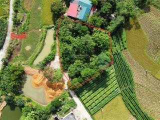 Lô này làm nhà vườn thì 10 điểm không có nhưng. 1000 m2 bám 3 mặt đường, view 360 độ là cánh đồng