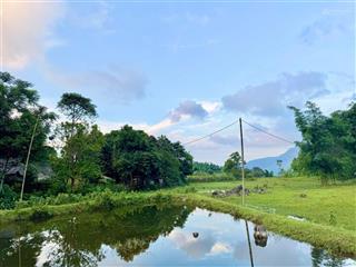 Ôi mảnh này đẹp xuất sắc quá các bác ơi. 2000m2 (400 thổ cư) bám suối, chuẩn nơi non xanh nước biếc