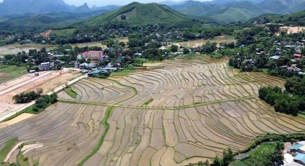 Bán 5800 m2 bám suối đá trong vắt, gần dự án cáp treo sungroup, kim bôi, hòa bình giá đầu tư