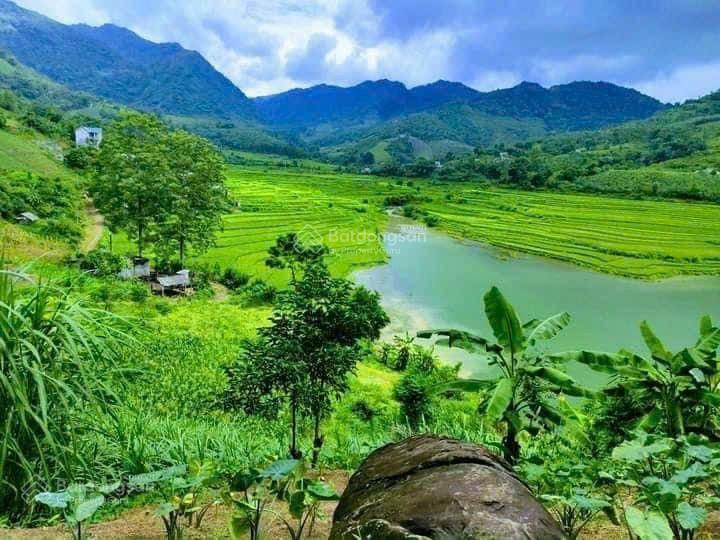 Lô đất đẹp giá đầu tư cho a chị yêu đất hồ hòa bình. 25.000 m2 view hồ hòa bình có tới 1500 thổ cư