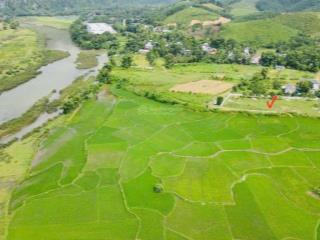 Đẹp mĩ mãn 2000 m2 (200 thổ cư) view đồng mênh mông, view sông bôi xanh mát giá 3,x tỷ