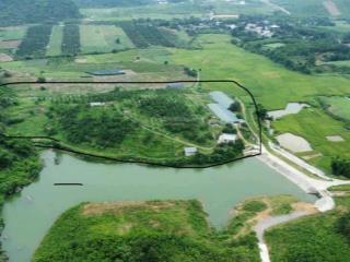 29.000 m2 đất cây lâu năm bằng phẳng, trồng full cam, sẵn nhà, trại chăn nuôi tại kim bôi, hòa bình