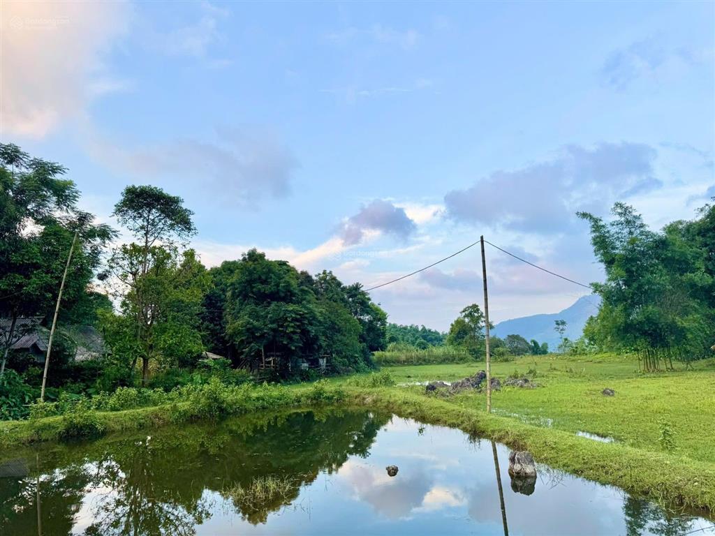 Ôi mảnh này đẹp xuất sắc quá các bác ơi 2000m2 (400 thổ cư) bám suối, chuẩn nơi non xanh nước biếc