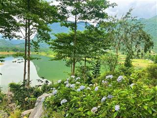 Chủ ra nước ngoài định cư cần nhượng lại khu homestay 50.000 m2 giữa hồ cực đẹp thổ cư 800 m2