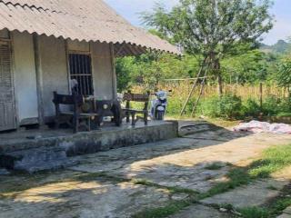 Chỉ hơn 2 tỷ là có khu vườn 4000 m2 sẵn nhà, vườn cây, ao cá cách tt hà nội chỉ 1 tiếng di chuyển